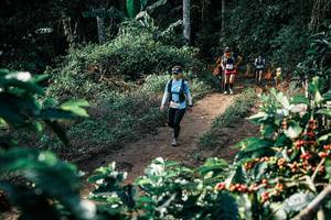 BIB: 
                            <button type="button" onclick="openModal(25854608)" class="btn btn-primary btn-sm float-right btn-popup" data-toggle="modal" data-target=".modal-high-quality">
                        <i class="fas fa-shopping-cart"></i> Add to Cart
                    </button>
                                            <button type="button" onclick="isThisMe(25854608, true)" class="btn btn-success btn-sm float-right btn-popup btn-isme hidden" data-toggle="tooltip" data-placement="bottom" title="นี่คือรูปของคุณใช่ไหม คลิกที่นี่เพื่อเอาเข้าอัลบั้ม">
                        <i class="fas fa-plus"></i> Add to album
                    </button>
                    <button type="button" onclick="isThisMe(25854608, false)" class="btn btn-warning btn-sm float-right btn-popup btn-isnotme hidden">
                        <i class="fas fa-ban"></i> Remove from album
                    </button>